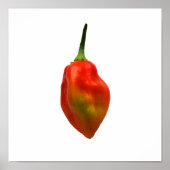 Foto Habanero Single Pepper Poster (Voorkant)