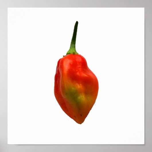 Foto Habanero Single Pepper Poster (Voorkant)