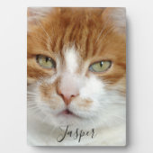 Foto handgeschreven script instellen fotoplaat (voorkant)