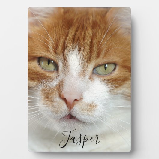 Foto handgeschreven script instellen fotoplaat (voorkant)