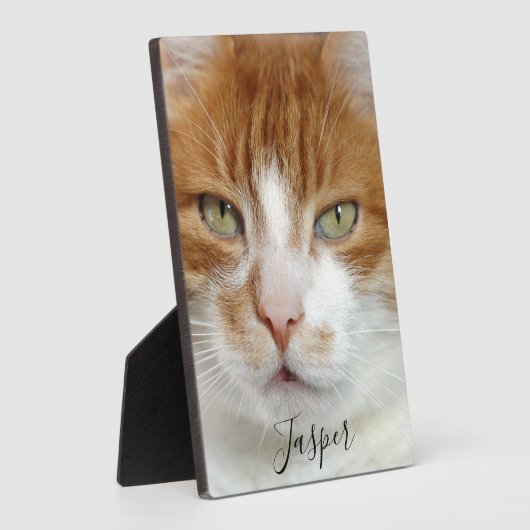 Foto handgeschreven script instellen fotoplaat (Zijkant)