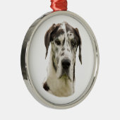 Foto Harlequin Great Dane Metalen Ornament (Rechts)
