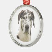 Foto Harlequin Great Dane Metalen Ornament (Links)
