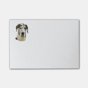 Foto Harlequin Great Dane Post-it® Notes
