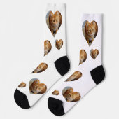 Foto Hart Huisdier Kat Hond Familie Sokken (Links)