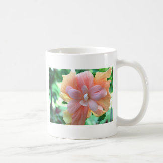 Foto Hawaiian Hibiscus Flower Koffiemok