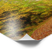 Foto herfst Trail Afdruk (Hoek)