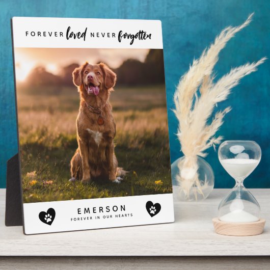 Foto-herinnering voor huisdier eeuwig geliefd nooi fotoplaat (Zijkant)