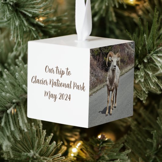 Foto Herinneringen Decoratie (Boom)