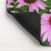 Foto: Hot Pink Flowers in tuin Muismat (Hoek)