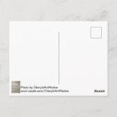 Foto Houten Planken Deck Briefkaarten (Achterkant)