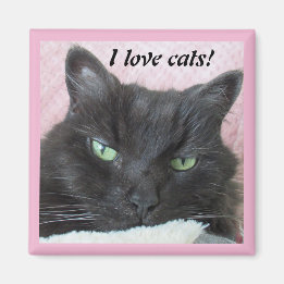 Foto I Love Cats Magneet