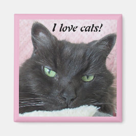Foto I Love Cats Magneet
