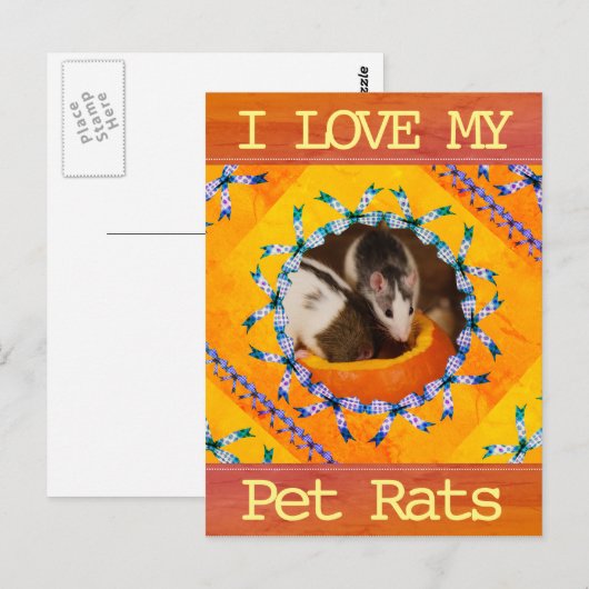 Foto I van de Rat van de douane houdt van mijn Briefkaart (Voorkant / Achterkant)