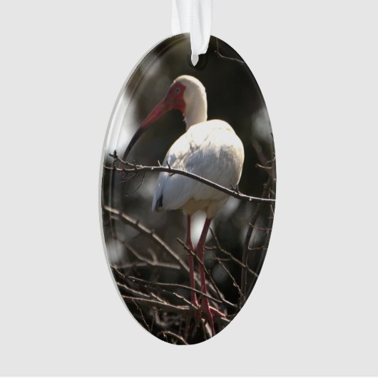 Foto Ibis Bird Ornament (voorkant)