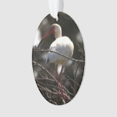Foto Ibis Bird Ornament (voorkant)