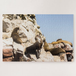 Foto Islas Ballestas, Paracas - Perú Legpuzzel