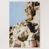 Foto Islas Ballestas, Paracas - Perú Legpuzzel (Verticaal)