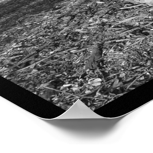 Foto IV-portfolio #5 Poster (Hoek)