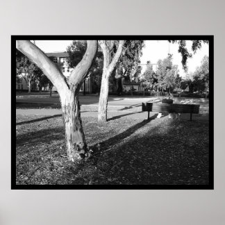 Foto IV-portfolio #5 Poster