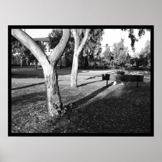 Foto IV-portfolio #5 Poster (Voorkant)