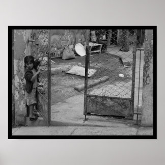 Foto IV-portfolio nr. 8 Poster