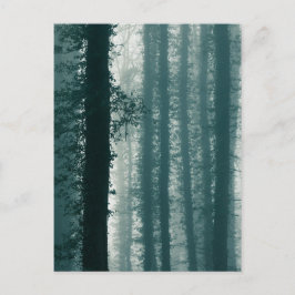 Foto Ivy Forest Natuur Briefkaart