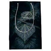 Foto Ivy Natuur Medium Cadeauzakje (Voorkant)