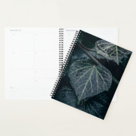 Foto Ivy Natuur Planner