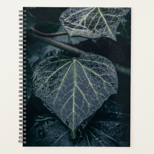 Foto Ivy Natuur Planner (Voorkant)