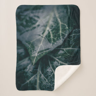 Foto Ivy Natuur Sherpa Deken