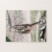 Foto Jong Giraffe Wandelen Jigsaw Puzzels (Horizontaal)