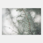 Foto Juniper Natuur Inpakpapier Vel (Voorkant)