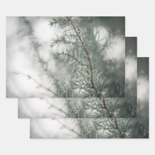 Foto Juniper Natuur Inpakpapier Vel (Set)