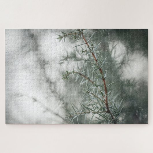 Foto Juniper Natuur Legpuzzel (Horizontaal)