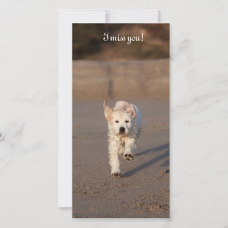 Foto kaart van een Golden Retriever