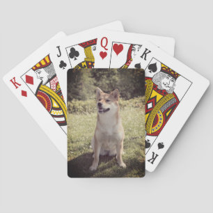 Foto-kaarten voor aangepaste afspelen pokerkaarten