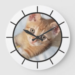 Foto. Kat, Tekst, vervangbaar, Grappig Grote Klok