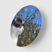 Foto Kat zwart-wit profiel Ronde Klok (Hoek)