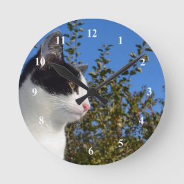 Foto Kat zwart-wit profiel Ronde Klok