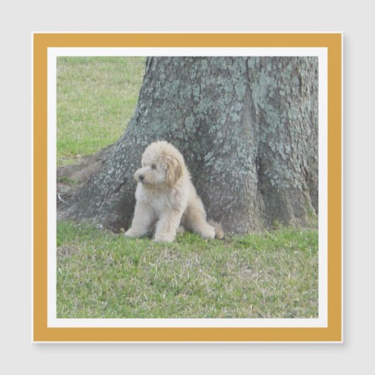 Foto Keepomwille Modern Sjabloon Yellow Magnet (Voorkant)