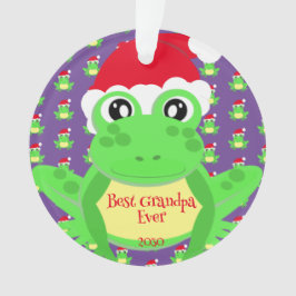 Foto Kerst Paarse Kikker Santa Hat Pattern Schatti Ornament