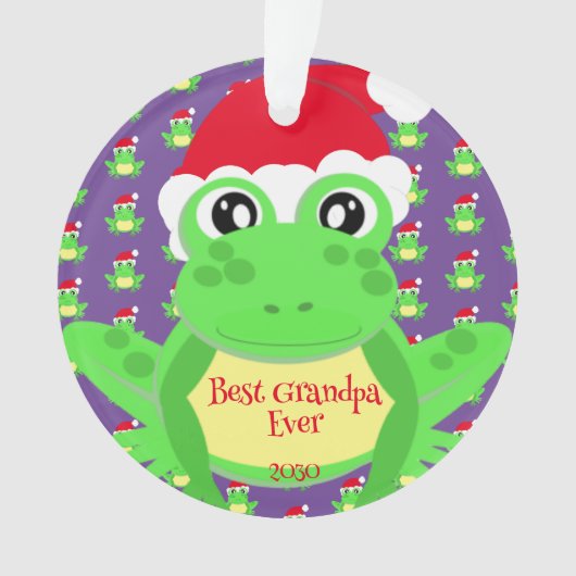 Foto Kerst Paarse Kikker Santa Hat Pattern Schatti Ornament (voorkant)