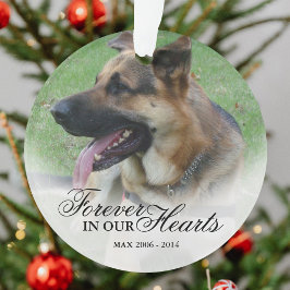 Foto Kerstherinnering Ornament
