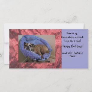 Foto kerstkaart/holiday card Engelse Bulldog Feestdagenkaart
