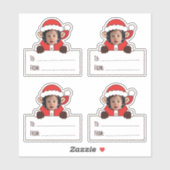 Foto Kerstman Cadeau Tag Sticker (Vel)