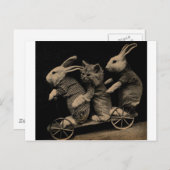 foto Kitten en Bunny Funny Briefkaart (Voorkant / Achterkant)
