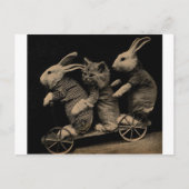 foto Kitten en Bunny Funny Briefkaart (Voorkant)