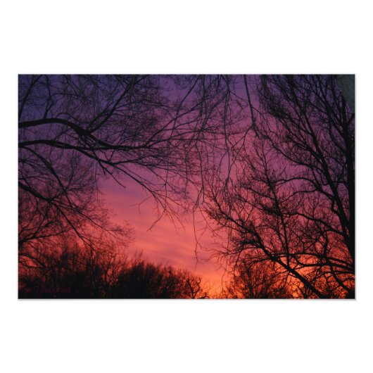 Foto "Kleuren" Foto Afdruk (Voorkant)