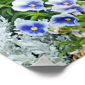 Foto kleurrijke bloemtuin poster (Hoek)